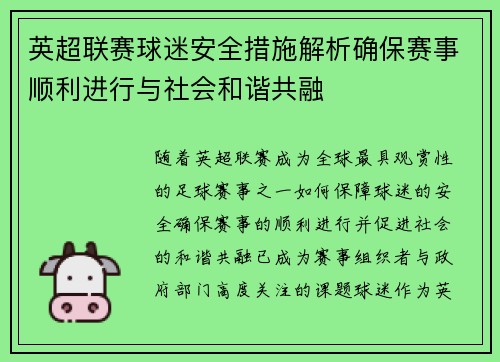 英超联赛球迷安全措施解析确保赛事顺利进行与社会和谐共融